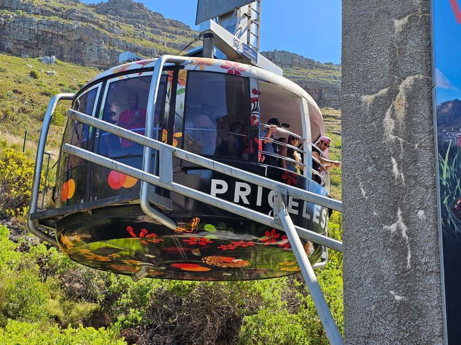 Cape Town: Table Mountain, Cape Point, & Penguins Group Tour - Camps Bay, Hout Bay, and Chapman’s Peak