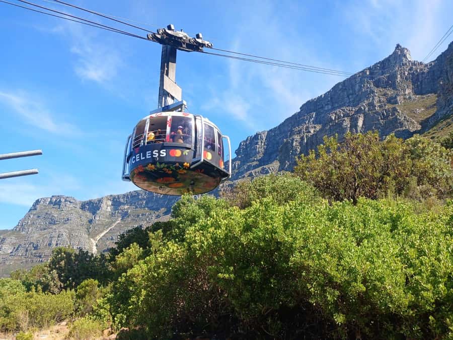 Cape Town: Table Mountain, Cape Point, & Penguins Group Tour - Boulders Beach and African penguins