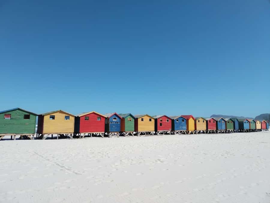 Cape Town: Table Mountain,Cape Point & Penguins Private Tour - Table Mountain needs planning before pickup