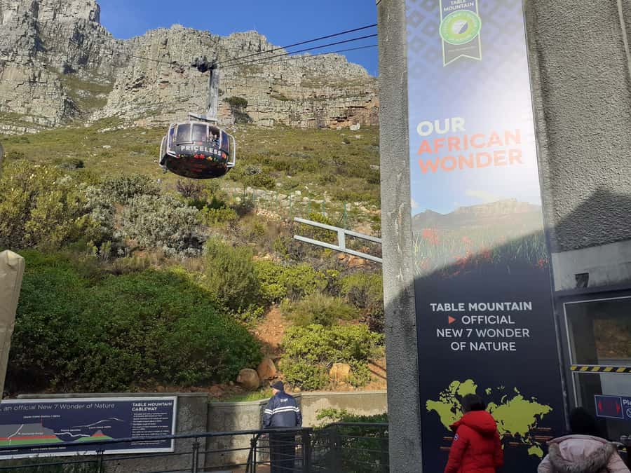 Cape Town: Table Mountain,Cape Point & Penguins Private Tour - Cape Point brings wildlife, cliffs, and open views
