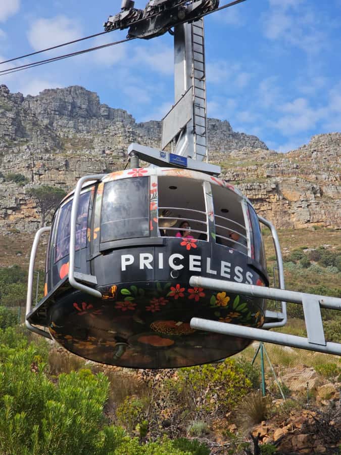 Cape Town Table Mountain Penguins & Cape Point All-inclusive - One long day from Table Mountain to Cape Point