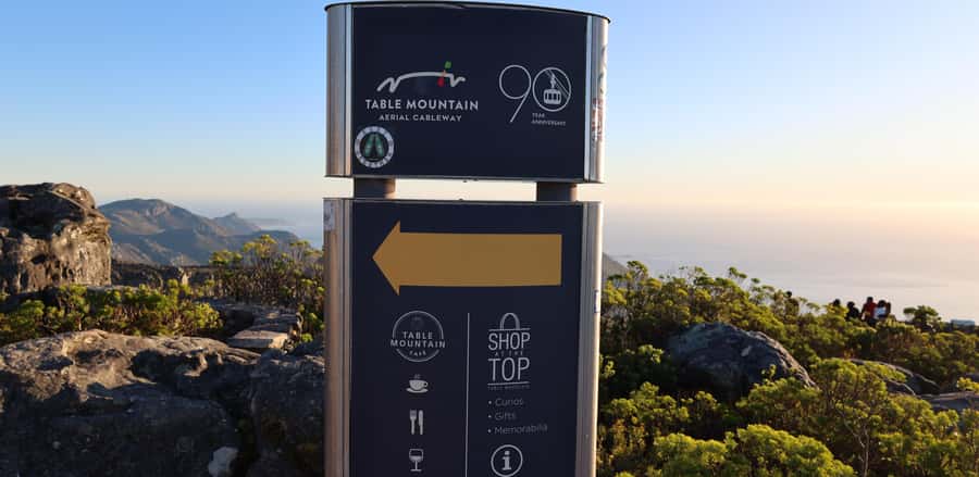 Cape Town: Table Mountain, Penguins & Cape Point Group Tour - Chapmans Peak is the scenic road highlight