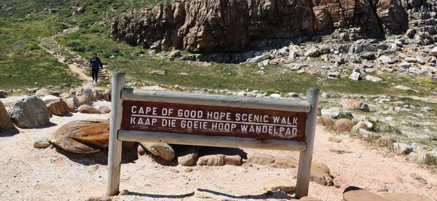 Cape Town: Table Mountain, Penguins & Cape Point Group Tour - Boulders Beach brings you close to African penguins