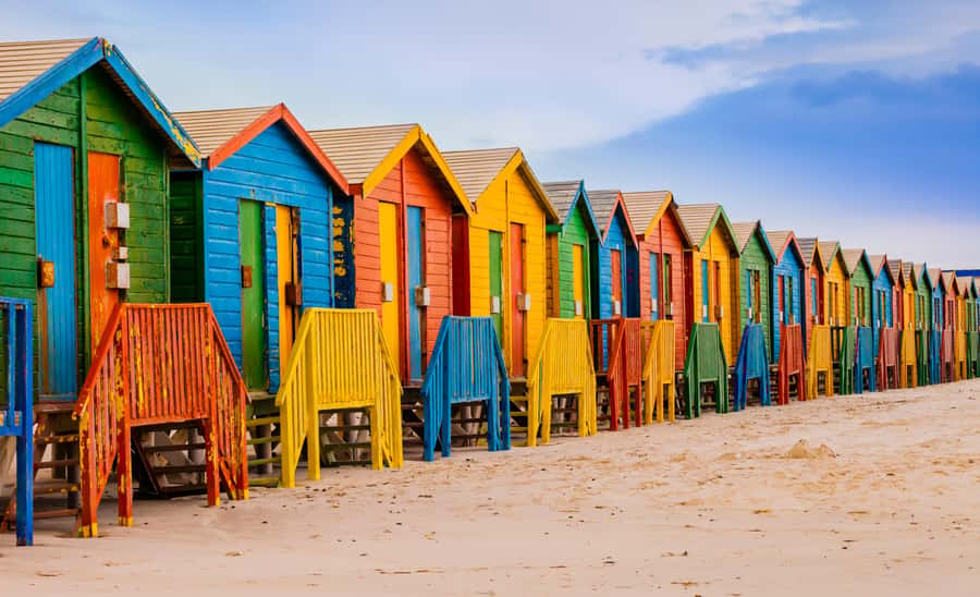 Cape Town: Table Mountain, Penguins & Cape Point Shared Tour - Maidens Cove and the Atlantic Seaboard
