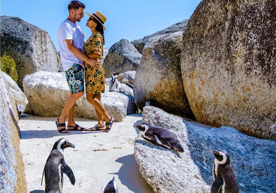 Cape Town: Table Mountain, Penguins & Cape Point Shared Tour - Chapmans Peak is the scenic road stop