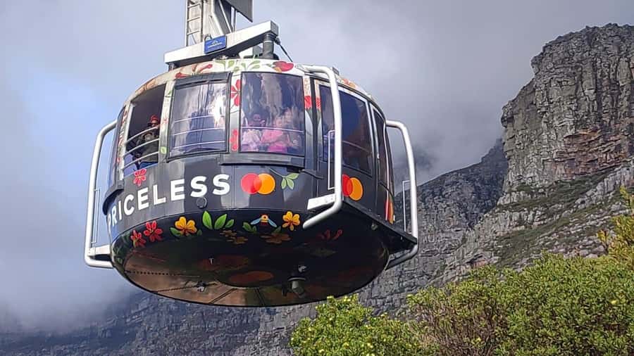 Cape Town: Table MT, Cape Point & Penguins Instagram Tour - Camps Bay, Hout Bay, and Chapmans Peak