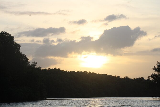 Caroni Bird Sanctuary Tour - The scarlet ibis finale near sunset