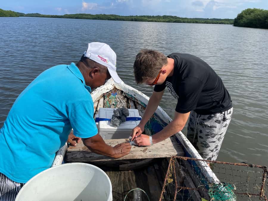 Cartagena Fishing, Crabbing, Birdwatching Experience + Lunch - Watching herons, pelicans, and kingfishers