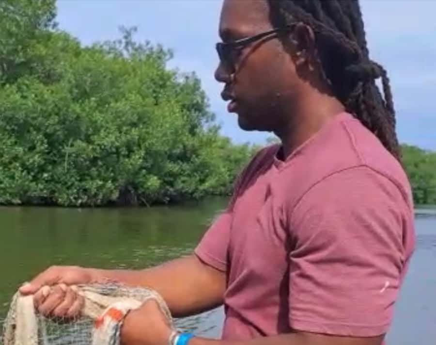 Cartagena Fishing, Crabbing, Birdwatching Experience + Lunch - What the $79 price really covers