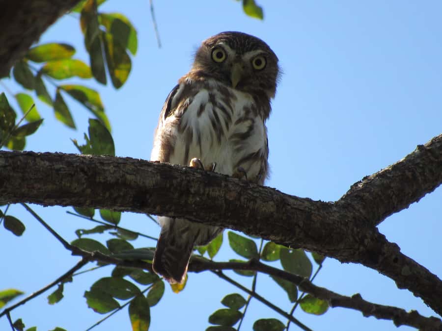 Cartagena: Private Bird-Watching Tour with Breakfast - Walking through Matute Nature Reserve