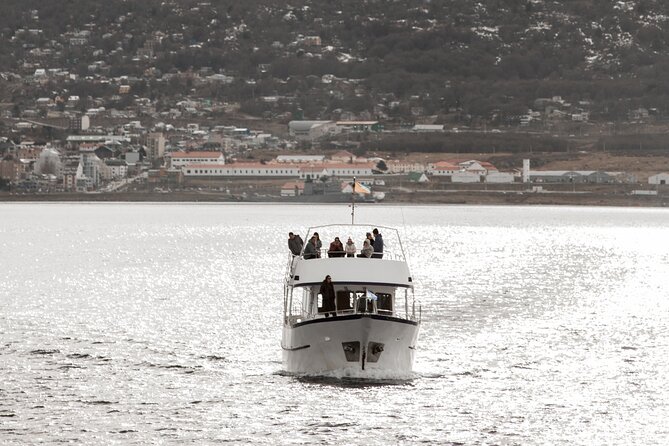 Catamaran Tour through the Beagle Channel and Penguins in Isla Martillo - Why Martillo Island is the real reason to go