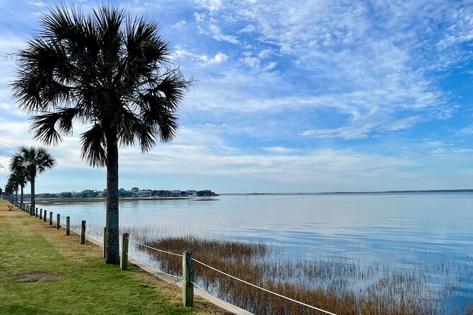 Charleston Bird Watching Tour - Key points at a glance