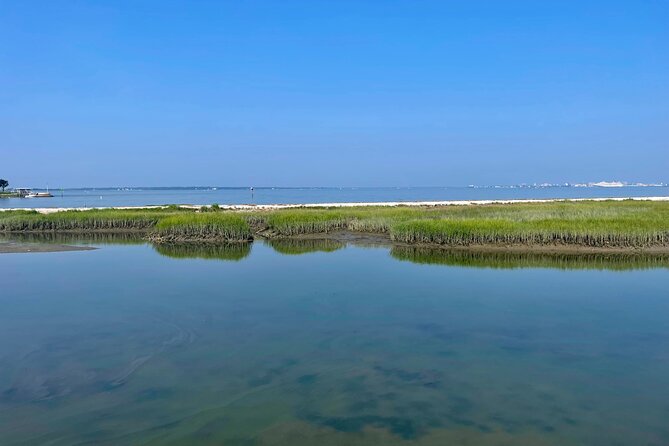 Charleston Bird Watching Tour - The harbor and Ravenel Bridge views
