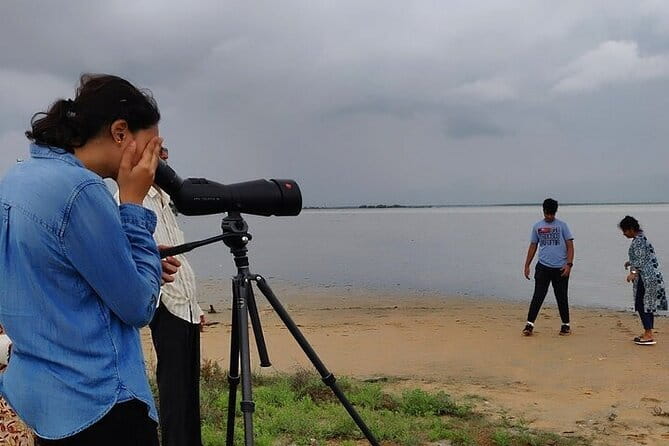 Chennai, Birding with Spotting Scope & Photography 2-3 hours - Chennai birding begins before the city wakes