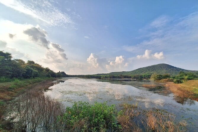 Chennai, Birding with Spotting Scope & Photography 2-3 hours - The practical cost of a private three-hour outing
