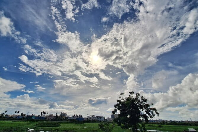 Chennai, Birding with Spotting Scope & Photography 2-3 hours - Pallikaranai and the changing wetland route