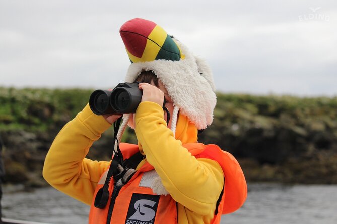 Classic Puffin Watching Cruise from Downtown Reykjavík - The $60 question: is the price fair?