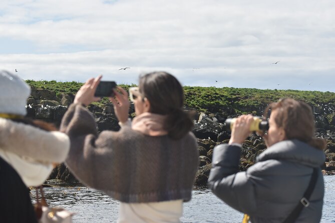 Classic Puffin Watching Cruise from Downtown Reykjavík - The short run to Engey, Akurey, or Lundey