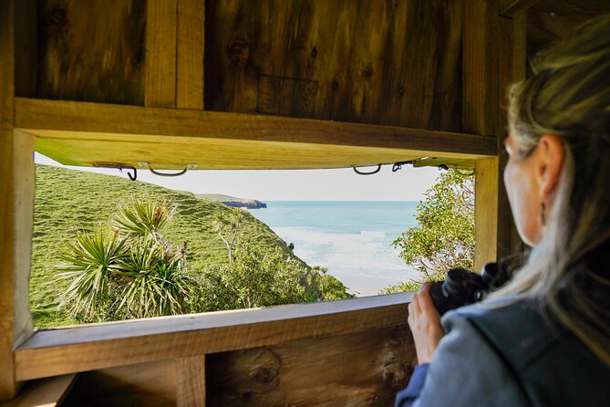 Clearwater Private Penguin & Wildlife Tour from Port Otago (5hrs) - Food, timing, and the cruise-port plan