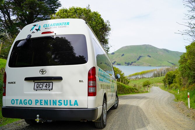 Clearwater Private Penguin & Wildlife Tour from Port Otago (5hrs) - Is the $2,451.26 group price good value?