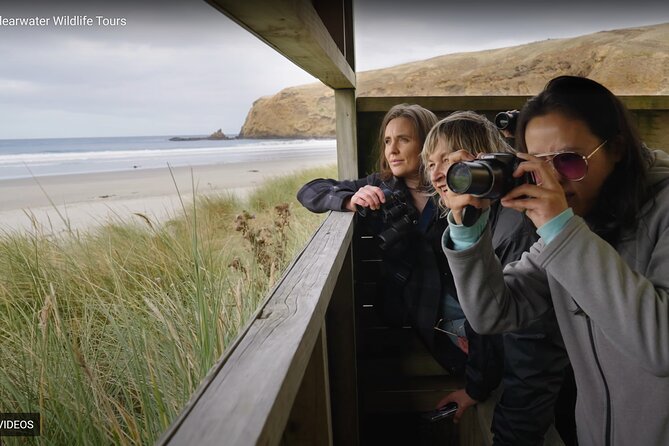 Clearwater Private Penguin & Wildlife Tour from Port Otago (5hrs) - Through native bush to the private beach