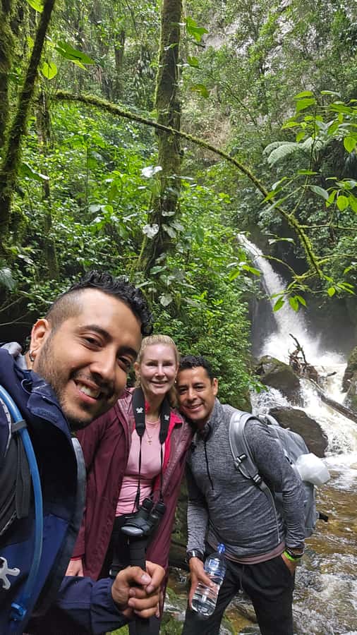 Cocora: trek to the hummingbirds sanctuary - Starting in Salento and heading toward Cocora Valley