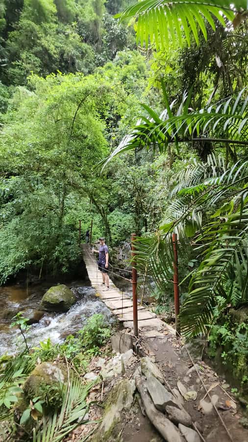 Cocora: trek to the hummingbirds sanctuary - Who should choose this Cocora hike