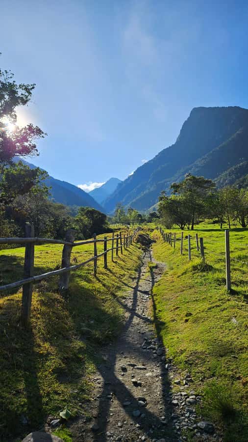 Cocora: trek to the hummingbirds sanctuary - Should you book the Cocora hummingbird trek?