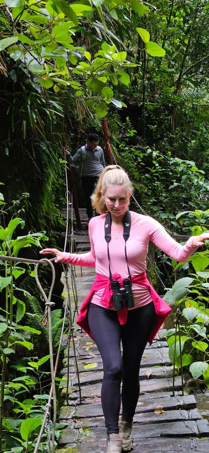 Cocora: trek to the hummingbirds sanctuary - Grasslands first, then a cooler forest trail