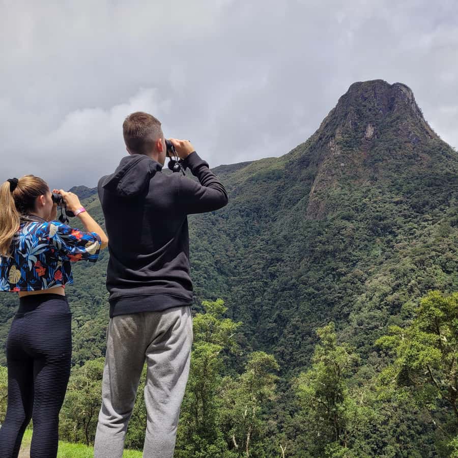 Cocora Valley: Route of the Hummingbirds + breakfast & lunch - Seven kilometers beside the river and six bridges