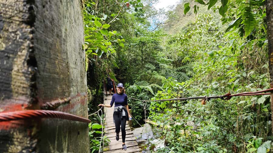 Cocora Valley: Route of the Hummingbirds + breakfast & lunch - The hummingbird house at Acaime