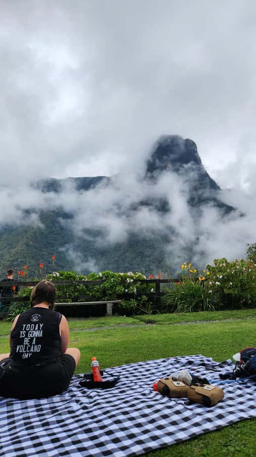 Cocora Valley: Route of the Hummingbirds + breakfast & lunch - What the guides add to the day