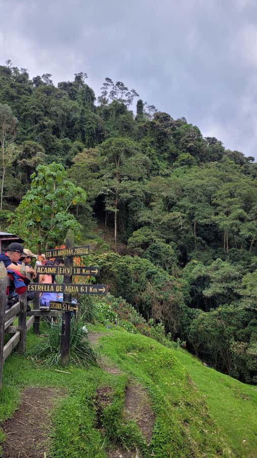 Cocora Valley: Route of the Hummingbirds + breakfast & lunch - Is the $129 price good value?
