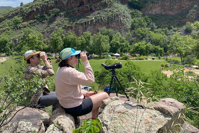 Colorado's Birds of Prey Full-Day with Lunch - Why the private group size changes the experience