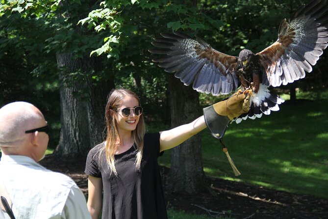 Colorado Springs Hands-On Falconry Class and Demonstration - Watching a hawk work in the Colorado countryside