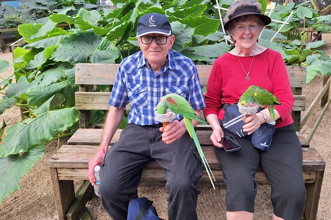 Colorful Species Of Birds - Why the 55-minute park visit can work