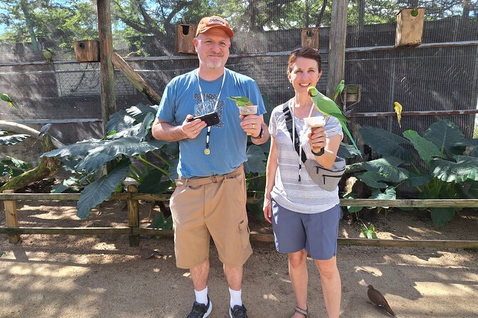 Colorful Species Of Birds - Iguanas, cheese, ice cream, and extra stops