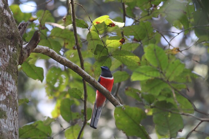 Dandeli Bird Photography Tour - What this Dandeli birding day is really about