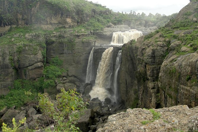 Day Trip From Addis Ababa See Historical Monastery,Stunning Nature,Animals,Birds - Why this makes a strong day out from Addis Ababa