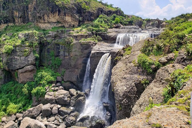 Day Trip From Addis Ababa See Historical Monastery,Stunning Nature,Animals,Birds - Geladas, vultures, and the Jemma Valley