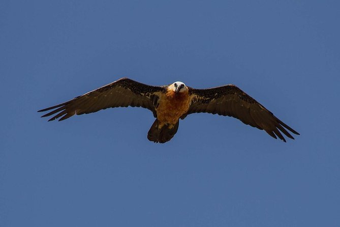 Day Trip From Addis Ababa See Historical Monastery,Stunning Nature,Animals,Birds - Who should book this day trip?
