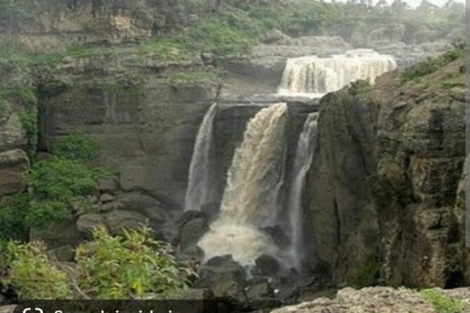 Day Trips from Addis Ababa See Monastery, Nature, Animals, Birds - Pickup, timing, and practical planning