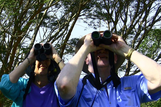Desembocada and Ameca River Bird Paradise (Wetland and Tropical birds in PV) - Playa Boca de Tomates and the coastal finish