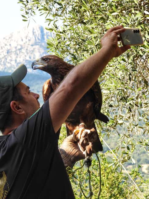 Discover the fantastic world of birds of prey in the Pollino National Park. - Meeting birds of prey without a circus show