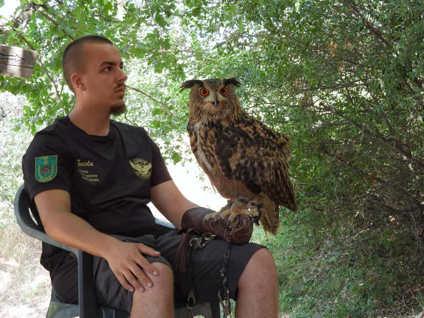 Discover the fantastic world of birds of prey in the Pollino National Park. - Why the no-cage, no-circus policy matters