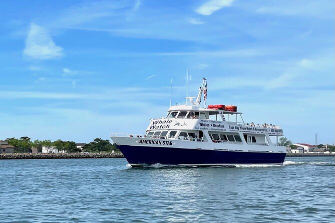 Dolphin and Bird Watching Ecotour Cruise - Leaving from Schellenger Landing