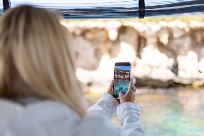 Dolphin, Sea Lion and Penguin Island Cruise - What the glass-bottom boat really means