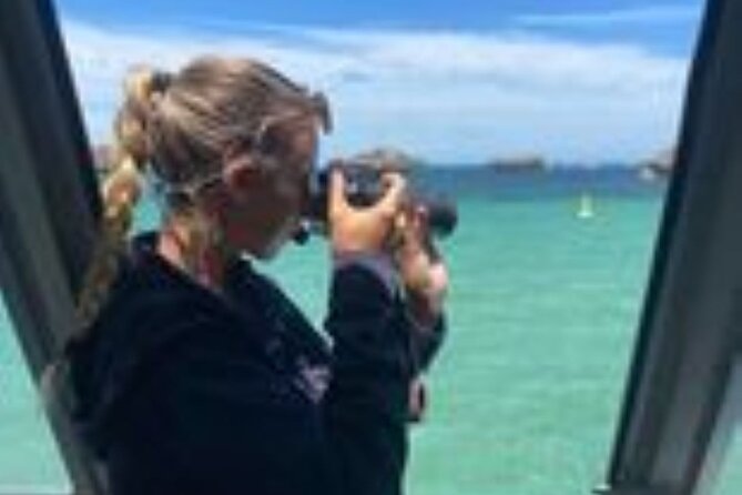 Dolphin, Sea Lion and Penguin Island Cruise - Who will enjoy this cruise most?