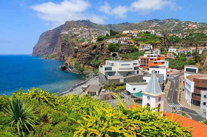 Dolphin - Whale - Turtle - Bird Watching - What the two-hour Funchal safari is really like