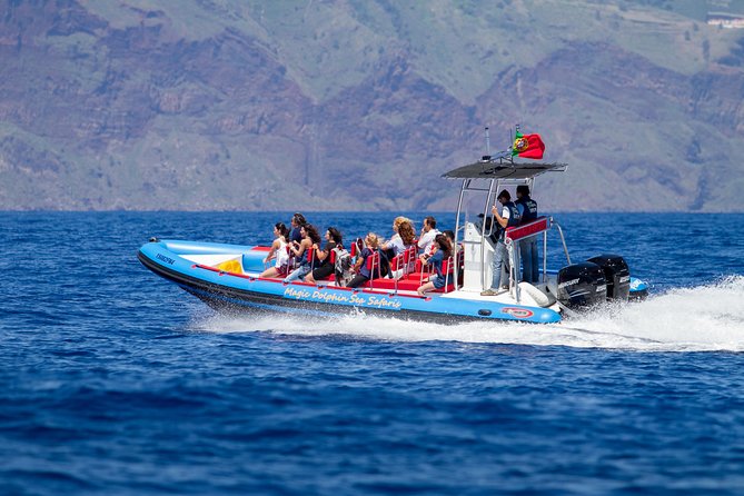 Dolphin - Whale - Turtle - Bird Watching - Leaving Praça do Povo with the spotters’ help